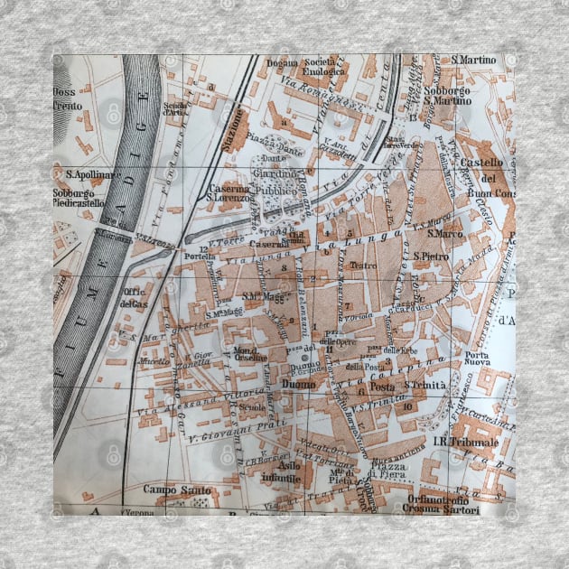 Trento, Italy antique map, gray brown black by djrunnels